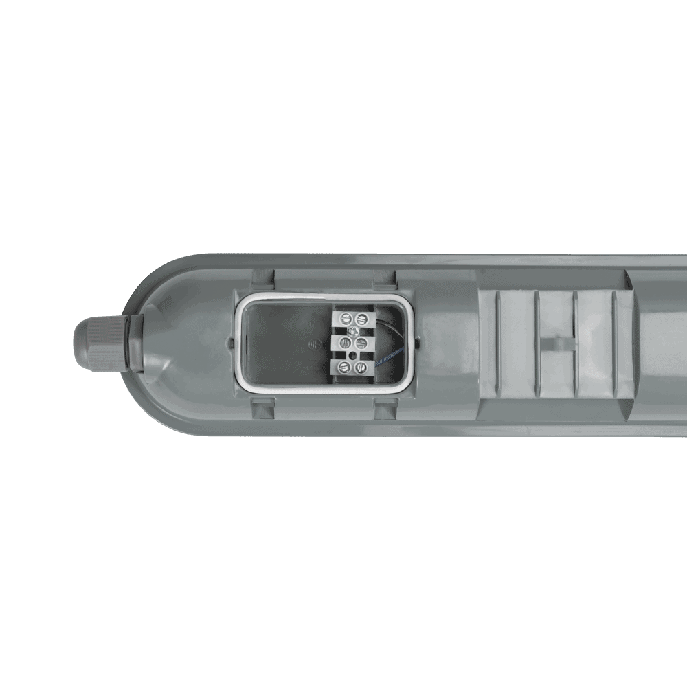 EL0031546-5