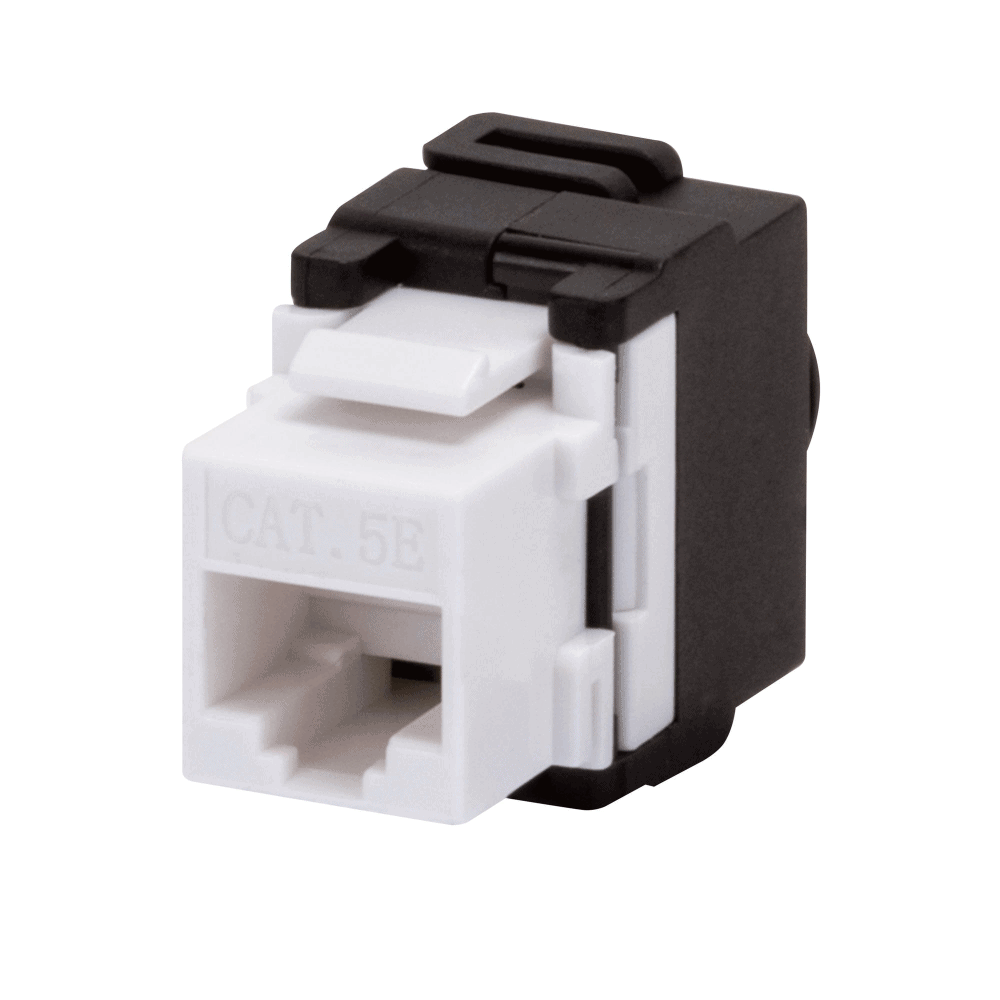 Conector UTP CAT5e
