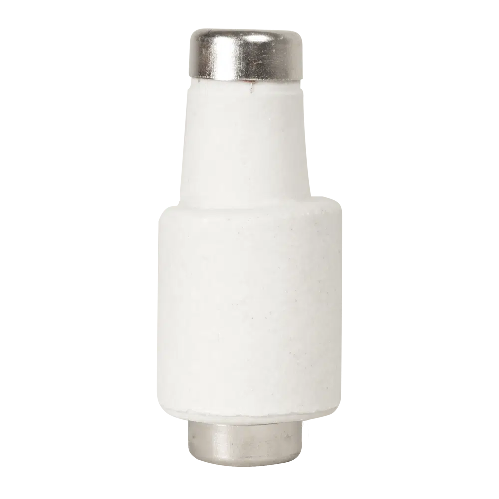 Patron fuzibil 25A