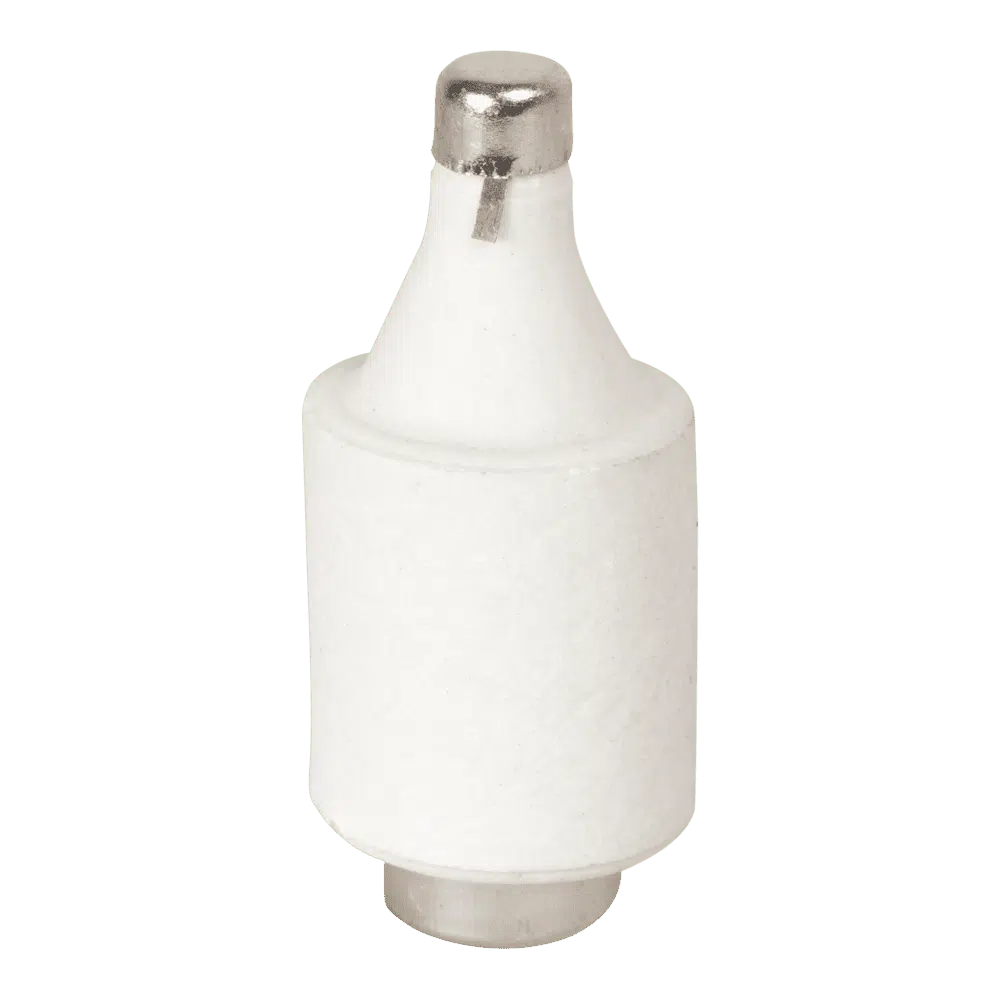 Patron fuzibil 10A