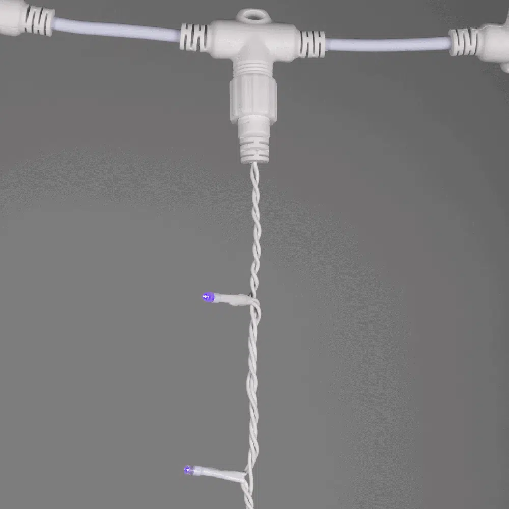 EL0038409-4.png
