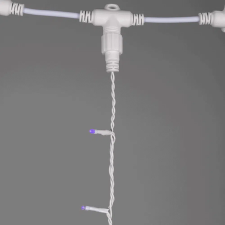 EL0038409-4.png