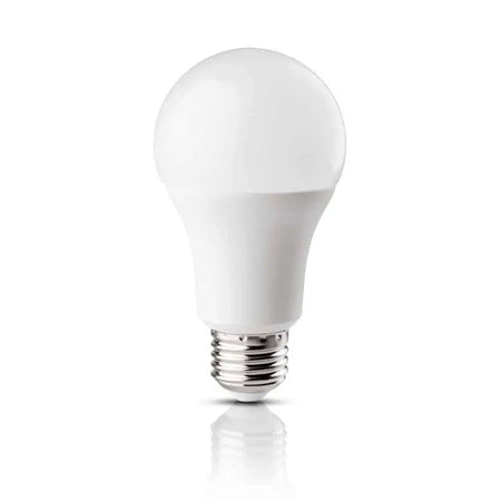 Bec LED 10W A60