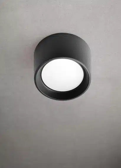 EL0071349.jpg