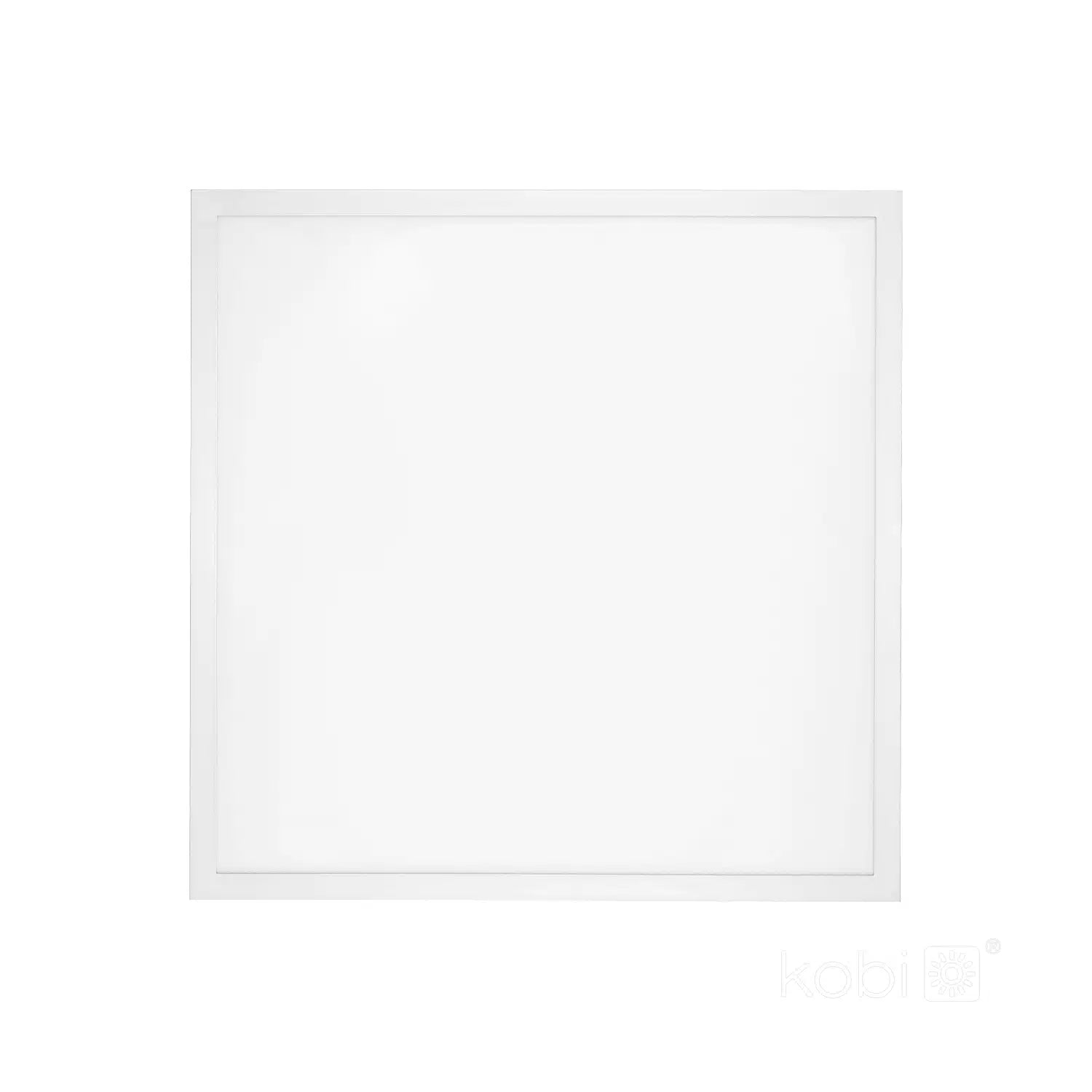 nelio-premium-60×60-2-c33a6394