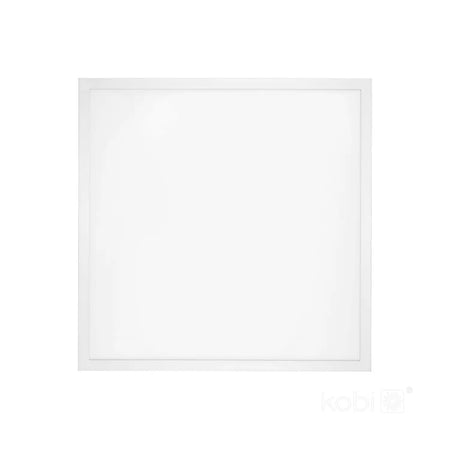 nelio-premium-60×60-2-c33a6394