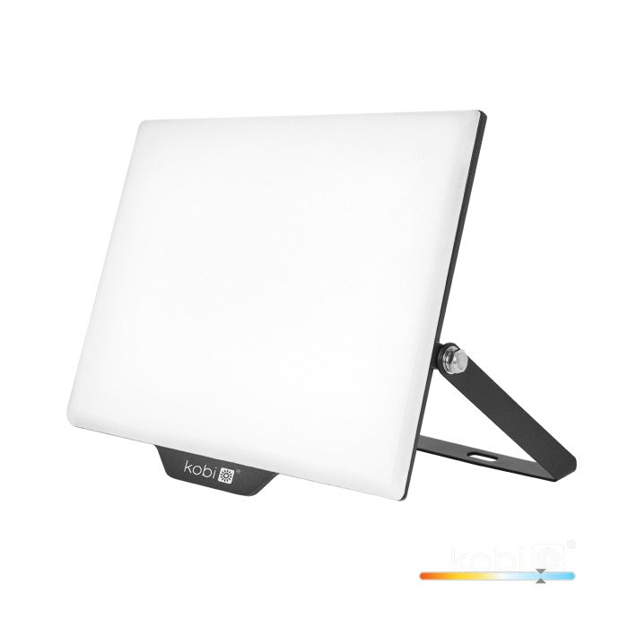 Proiector LED 100W 6000K DELYO MHN, Kobi